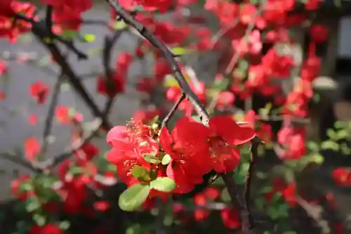 法華寺(奈良県)