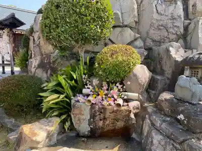 早稲田神社の手水舎