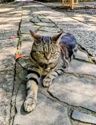 ときわ台天祖神社(東京都)