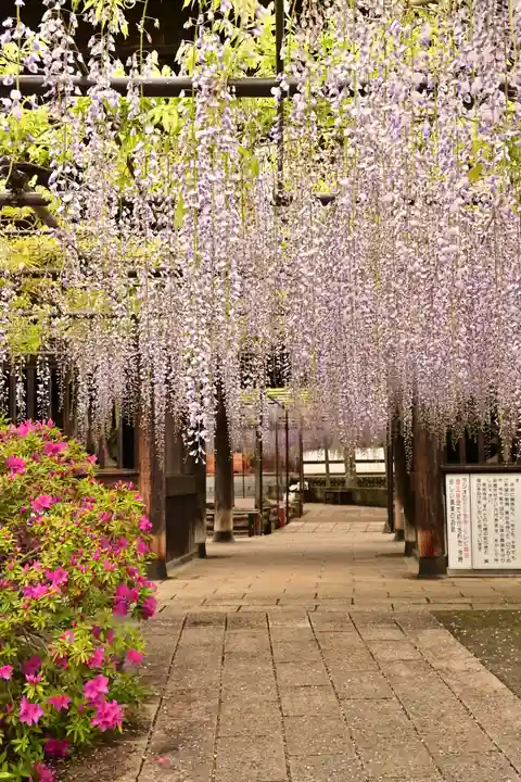 長泉寺(埼玉県)