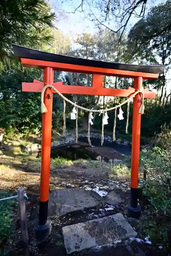 鷲宮神社の鳥居