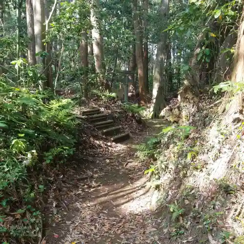 香取神社の自然