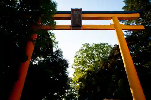 川越氷川神社の鳥居