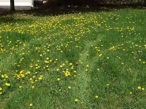 常呂神社(北海道)