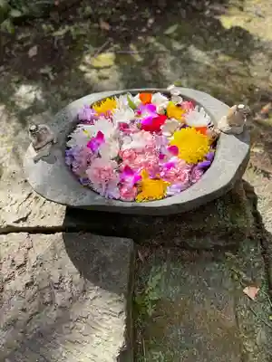かっぱの寺 栖足寺(静岡県)