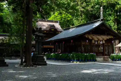 諏訪大社下社春宮(長野県)