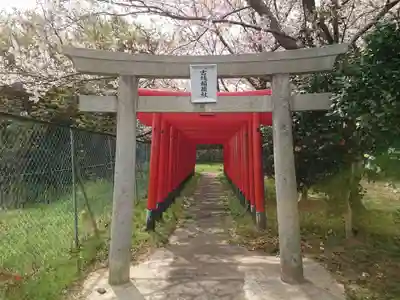 古城稲荷社の鳥居