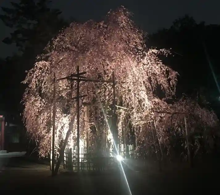 大國魂神社の自然