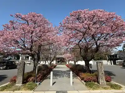 普門院の{uncategorized: "未分類", other: "その他", undefined: "問題あり", building: "その他建物", grave: "お墓", sacred_gate: "鳥居", guardian: "狛犬", statue: "像", buddha: "仏像", history: "歴史", nature: "自然", garden: "庭園", animal: "動物", pagoda: "塔", temizu: "手水舎", mountain_gate: "山門・神門", sanctuary: "本殿・本堂", subordinate: "末社・摂社", art: "芸術", scenery: "景色", jizo: "地蔵", ema: "絵馬", goshuin: "御朱印", omikuji: "おみくじ", items: "授与品その他", amulet: "お守り", goshuincho: "御朱印帳", eats: "食事", festival: "お祭り", votive_dance: "神楽", shichigosan: "七五三参", wedding: "結婚式", experience: "体験その他", initially: "初詣", around: "周辺", anti_infection: "感染症対策"}
