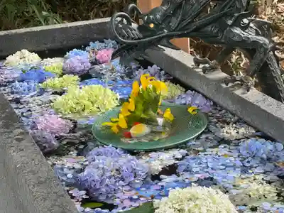 下野 星宮神社の手水舎