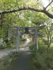 唐松観音の鳥居