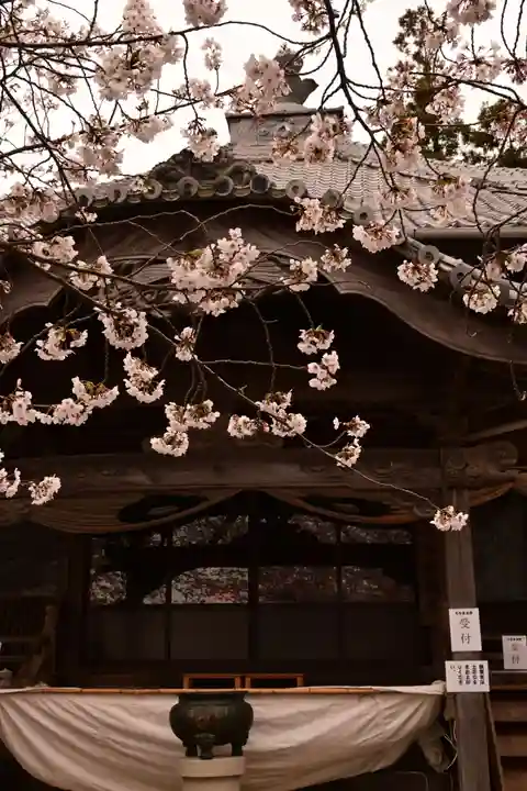 瑞龍寺(沖浦観音)(愛媛県)
