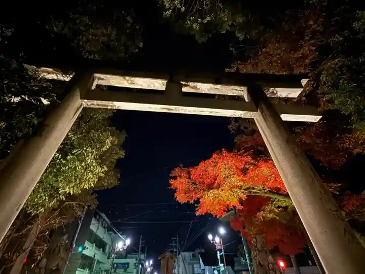 秩父神社(埼玉県)