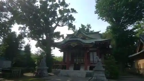 柴又八幡神社の本殿・本堂