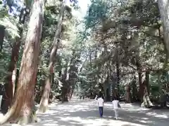 鹿島神宮の建物その他