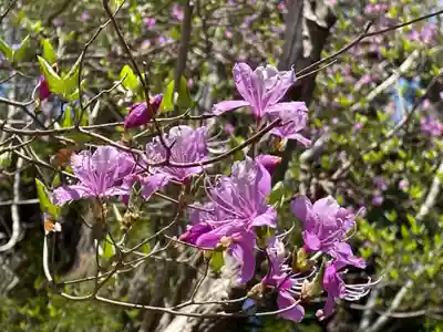 月輪寺(京都府)