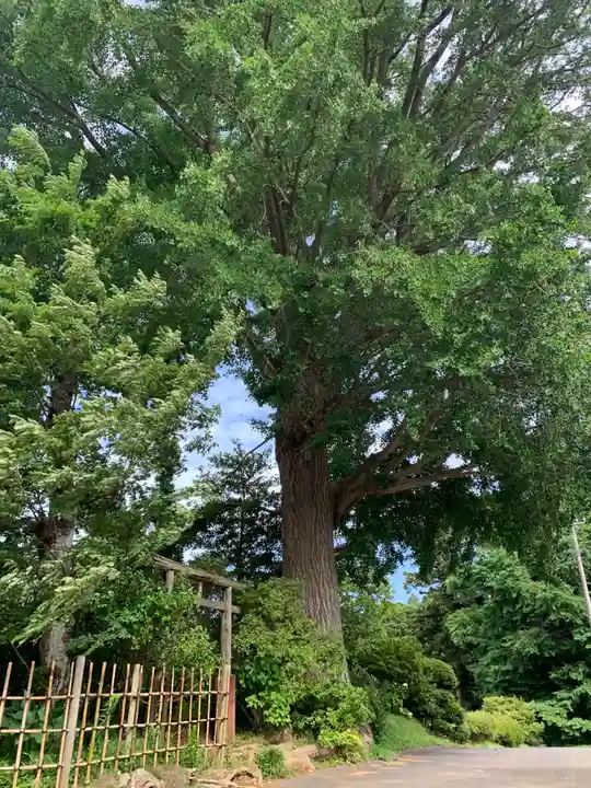 稲荷神社(千葉県)