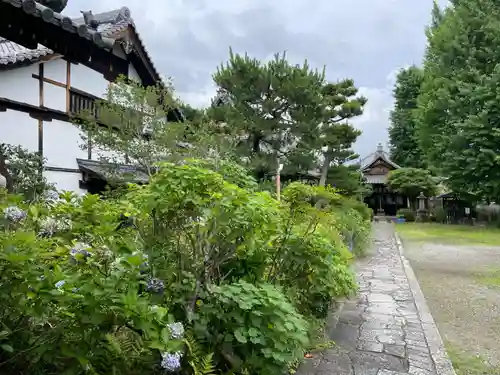 慧光寺(京都府)