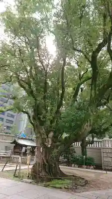 難波神社のその他建物