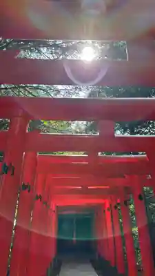 大麻比古神社(徳島県)