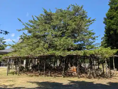 鏡忍寺(千葉県)