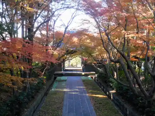 天嶽院の景色