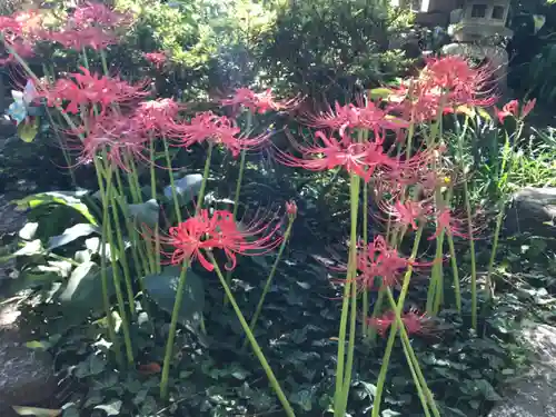 龍眼寺（萩寺）の自然