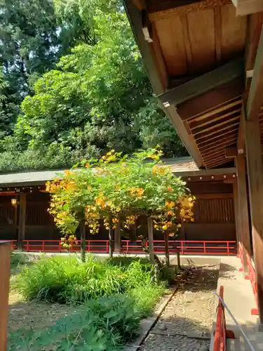 代々木八幡宮の庭園