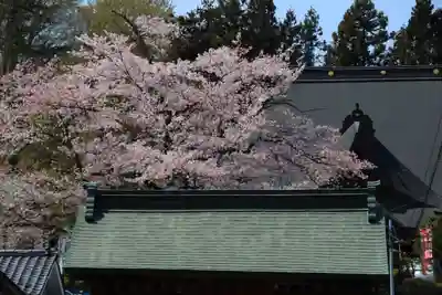 龍穏院の景色