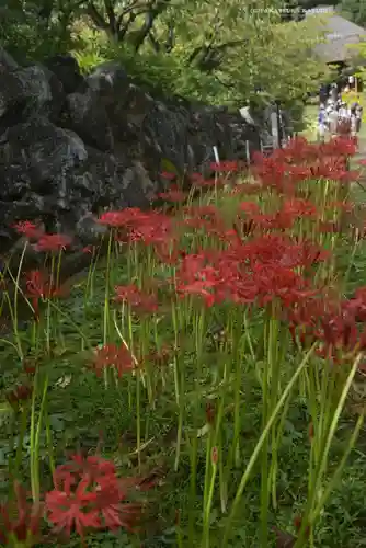 横浜　西方寺(神奈川県)