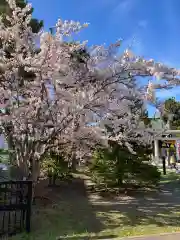 烈々布神社(北海道)