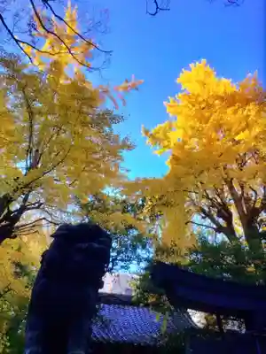 赤坂氷川神社(東京都)