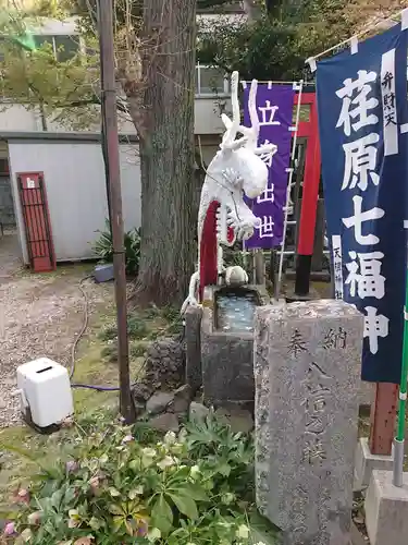 蛇窪神社の狛犬