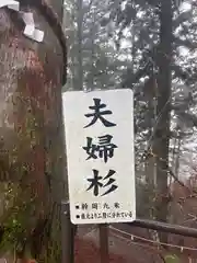 玉置神社(奈良県)