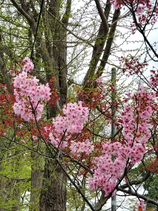 阿邪訶根神社(福島県)