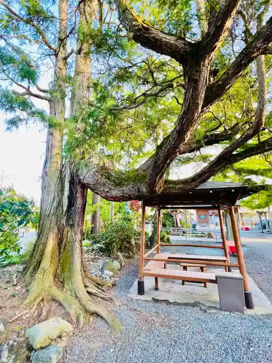 日限地蔵尊 観音院の{uncategorized: "未分類", other: "その他", undefined: "問題あり", building: "その他建物", grave: "お墓", sacred_gate: "鳥居", guardian: "狛犬", statue: "像", buddha: "仏像", history: "歴史", nature: "自然", garden: "庭園", animal: "動物", pagoda: "塔", temizu: "手水舎", mountain_gate: "山門・神門", sanctuary: "本殿・本堂", subordinate: "末社・摂社", art: "芸術", scenery: "景色", jizo: "地蔵", ema: "絵馬", goshuin: "御朱印", omikuji: "おみくじ", items: "授与品その他", amulet: "お守り", goshuincho: "御朱印帳", eats: "食事", festival: "お祭り", votive_dance: "神楽", shichigosan: "七五三参", wedding: "結婚式", experience: "体験その他", initially: "初詣", around: "周辺", anti_infection: "感染症対策"}