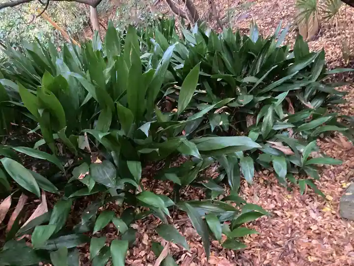 須磨稲荷大明神・和佐稲荷大明神(神奈川県)