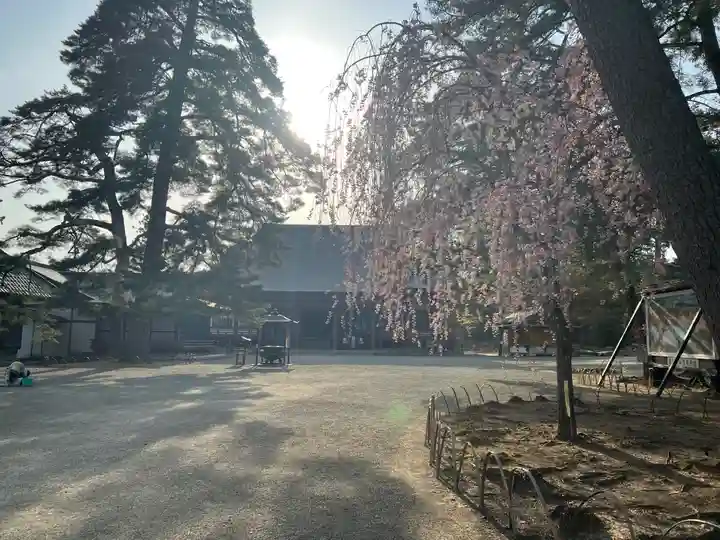 毛越寺(岩手県)