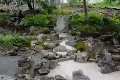 祥龍山 金剛寺の庭園