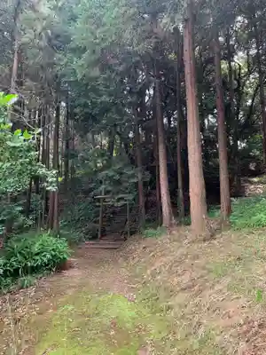 八幡神社(千葉県)