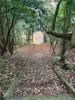 熊野神社(千葉県)