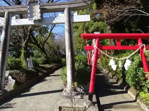 菊池神社の鳥居