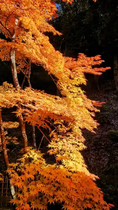 禅林寺(永観堂)(京都府)
