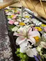 鳩森八幡神社の手水舎