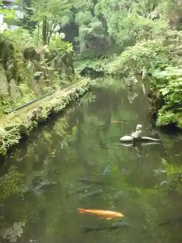 長安寺の動物