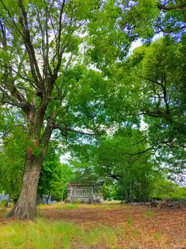 千代神社の建物その他