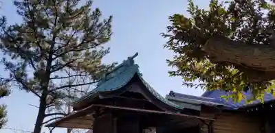春日神社の本殿・本堂