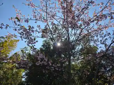 林昌寺(大阪府)