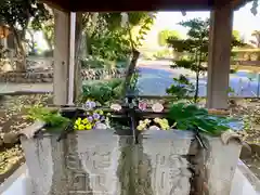 北本氷川神社の手水