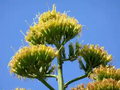 筑波山大御堂(茨城県)